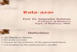 Kala-azar ( Leishmaniasis ) Symptoms, Signs, Diagnosis