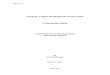 Towards A Sahtu Development Corporation: A Discussion Paper