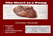 The Heart as a Pump.ppt