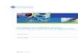 Espoo Report Key Issue Paper Maritime Safety 20090201