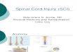 MF2 - Spinal Cord Injury
