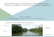 Elucidating the Relationship Between Indirect Effects and Ecosystem Stability - Presentation