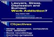 Lawyer Stress Work Addiction