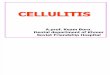 CELLulitis 1