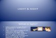 Light & Sight