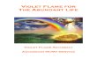 Violet Flame for the Abundant Life - April 2013 With Faith Decree