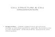 CELL STRUCTURE & CELL ORGANISATION.pptx