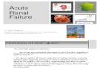Acute renal failure J REignier SarajevoSept2010.pdf