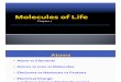 Molecules of Life ( Biology )