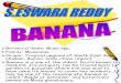Banana Production Technology-eswar