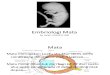 Embriologi Mata Asiah 138