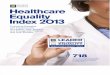 2013 Healthcare Equality Index