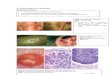 Pathology of Common Skin Diseases With Clinical Correlates