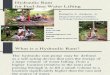 Hydraulic Ram Slideshow