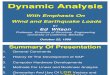 Dynamic Analysis Basics