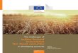 The challenges of index-based insurancefor food security in developing countries Editors: René Gommes & François Kayitakire