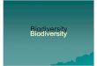 22.3 Biodiversity 2012