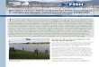 EU Version: No Jobs Here: Why Industrial Fish Farming's Promise to Boost Local Economies Falls Flat