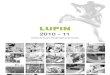 Lupin Investor Presentation -May 2011