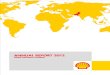 Shell Pak Financial Account 2012