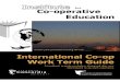 International Work Term Guide
