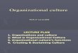 12-OB Chapter 9 Organizational Culture