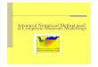Advanced Numerical Method usedin Composite Materials Modellings