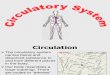 Circulatory System form5