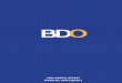 BDO 2009 AR Supplement