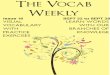 The Vocab Weekly_issue 16