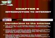 Chapter 6 - Introduction to Internet