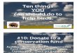 10 Things to Help Birds