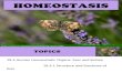 Chapter 19 - Homeostasis (Part 2)
