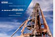 Shale Gas Global Perspective