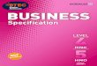 BH029073 HNCD Business Specification Issue4