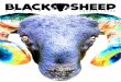 Black Sheep Sound Magazine