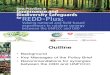 La Vina- Best Practices in Governance and Biodiversity Safeguards for REDD-Plus