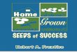 Home Grown Seeds of Success