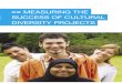 Measuring_success in Cultural Diversity Projects