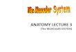 Anatomy Lecture 3-Scribd