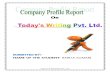 BABITA Company Profile Report