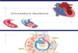 Circulatory System AP Bio