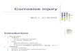 Corrosive Injury 20061227-1