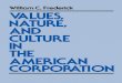 Values Nature & Culture in the American Corporation (Ruffin Series in Business Ethics)