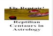 Fly Reptair! Reptilian Centaurs in Civil and Military Spacecraft and Aircraft Astrology