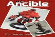 The Ancible Issue15