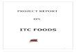 22001881 Project on ITC Foods