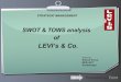 LEVI's SWOT and TOWS analysis