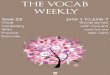 The Vocab Weekly_Issue 33