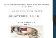 Kines Anatomy Ch. 14-16